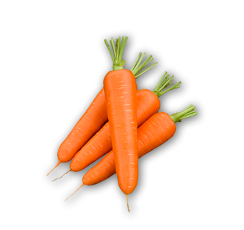 Carota