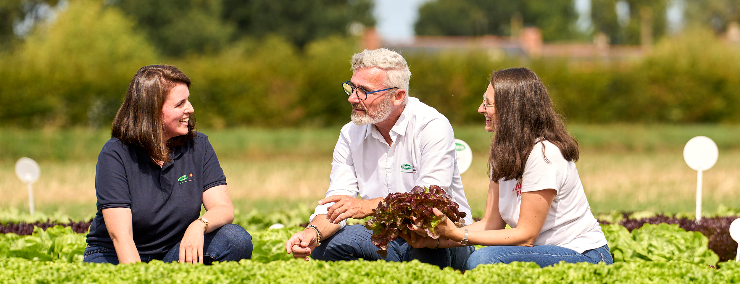 Le sementi orticole Vilmorin-Mikado a portata di click