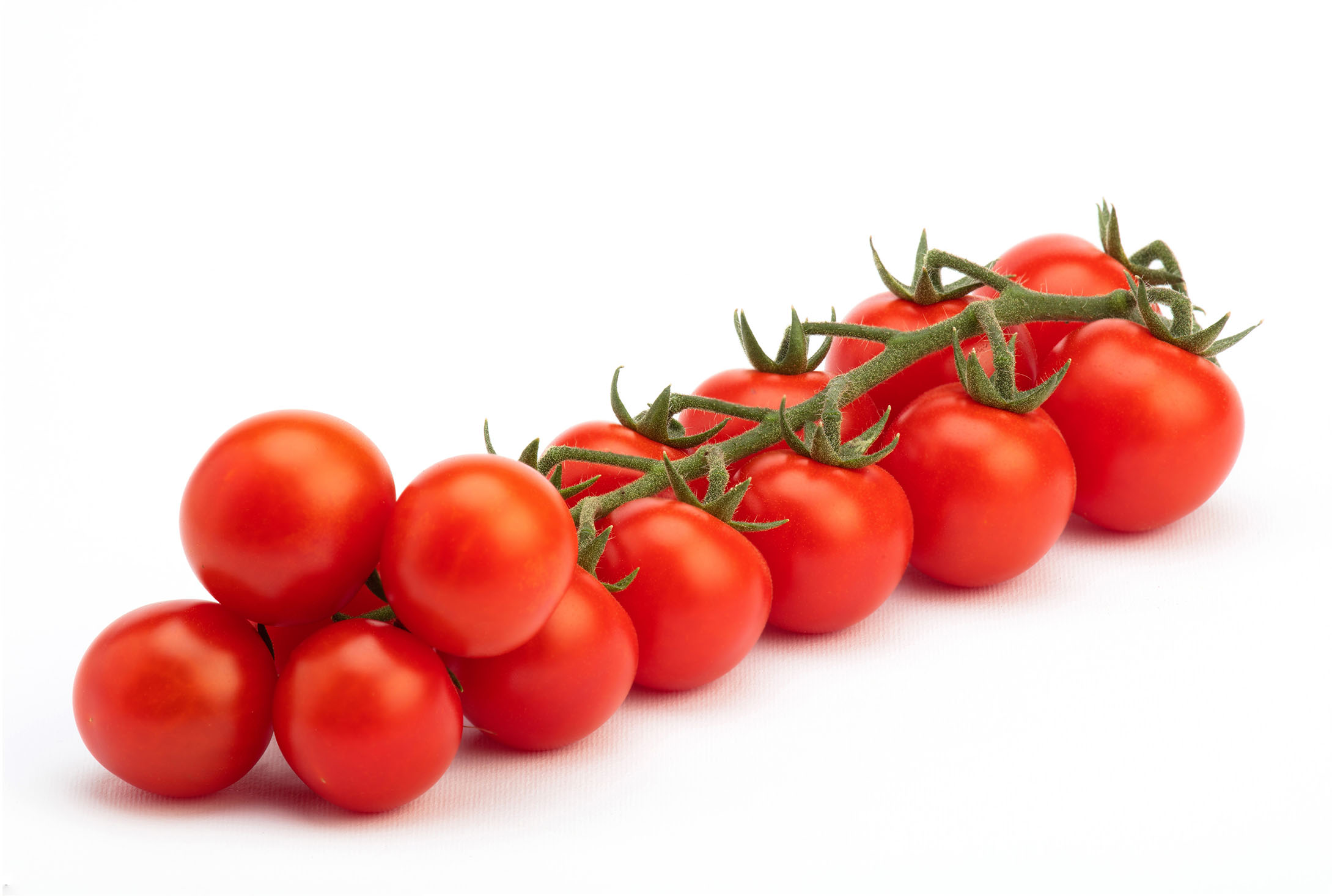 Pomodoro ciliegino Giubilo F1