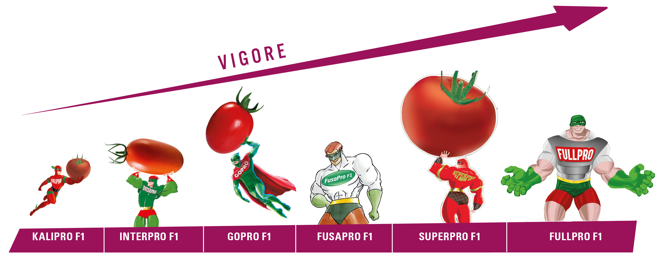 Portainnesti Vilmorin-Mikado