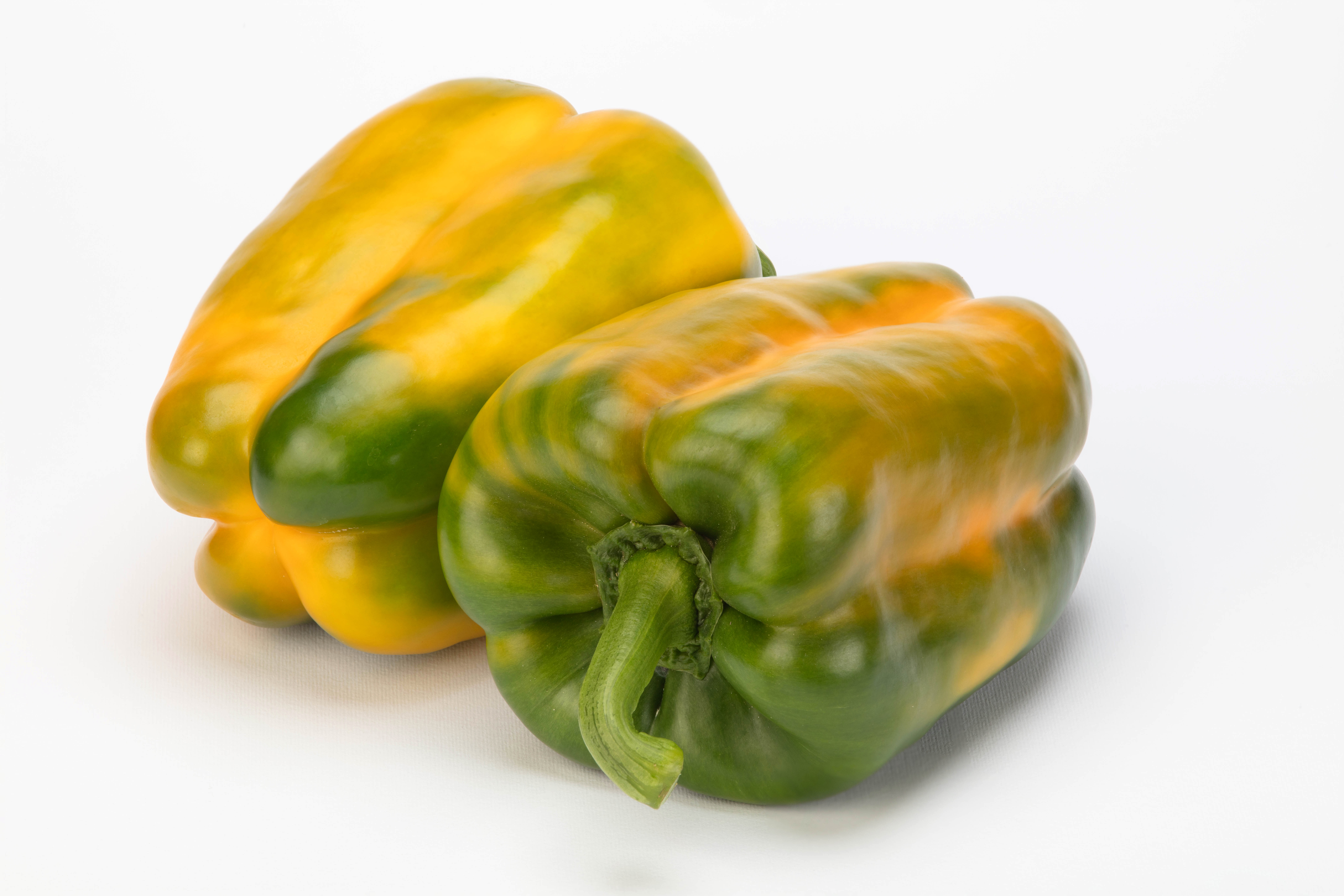 peperone Anfiarao di Vilmorin-Mikado