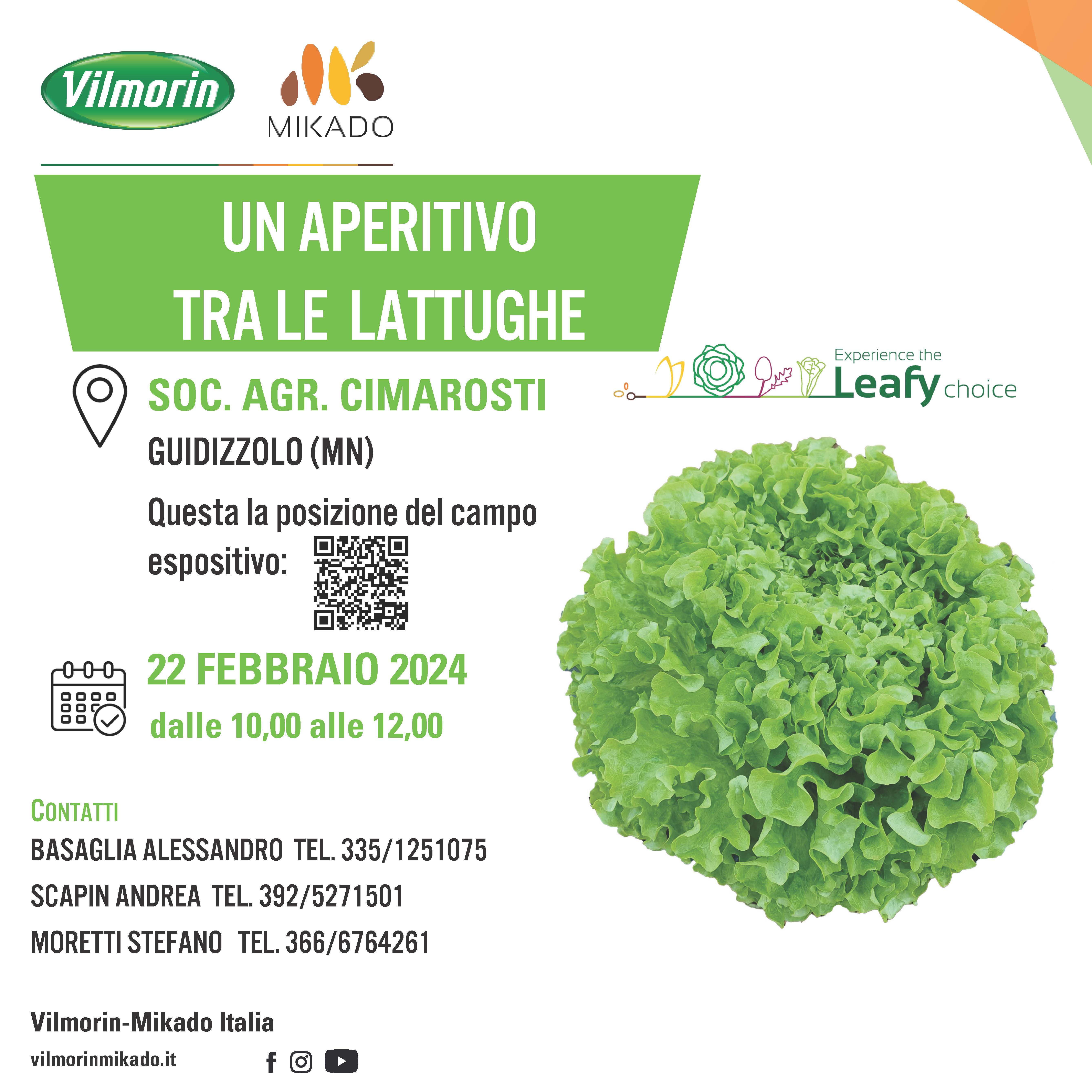 Un aperitivo tra le lattughe 