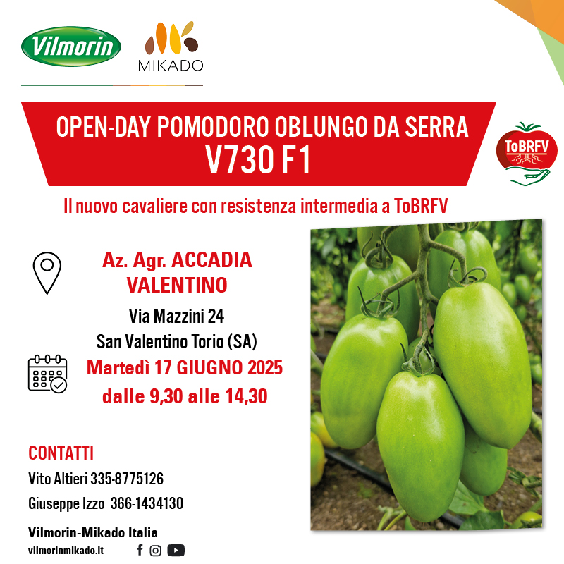 Invito V730 SAN VALENTINO TORIO 