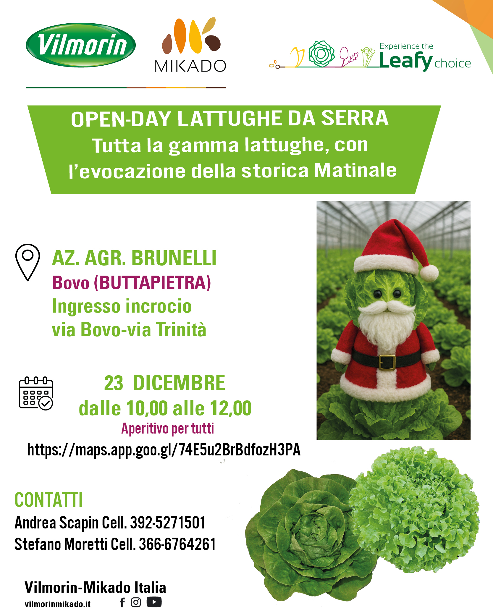 Invito lattughe da serra