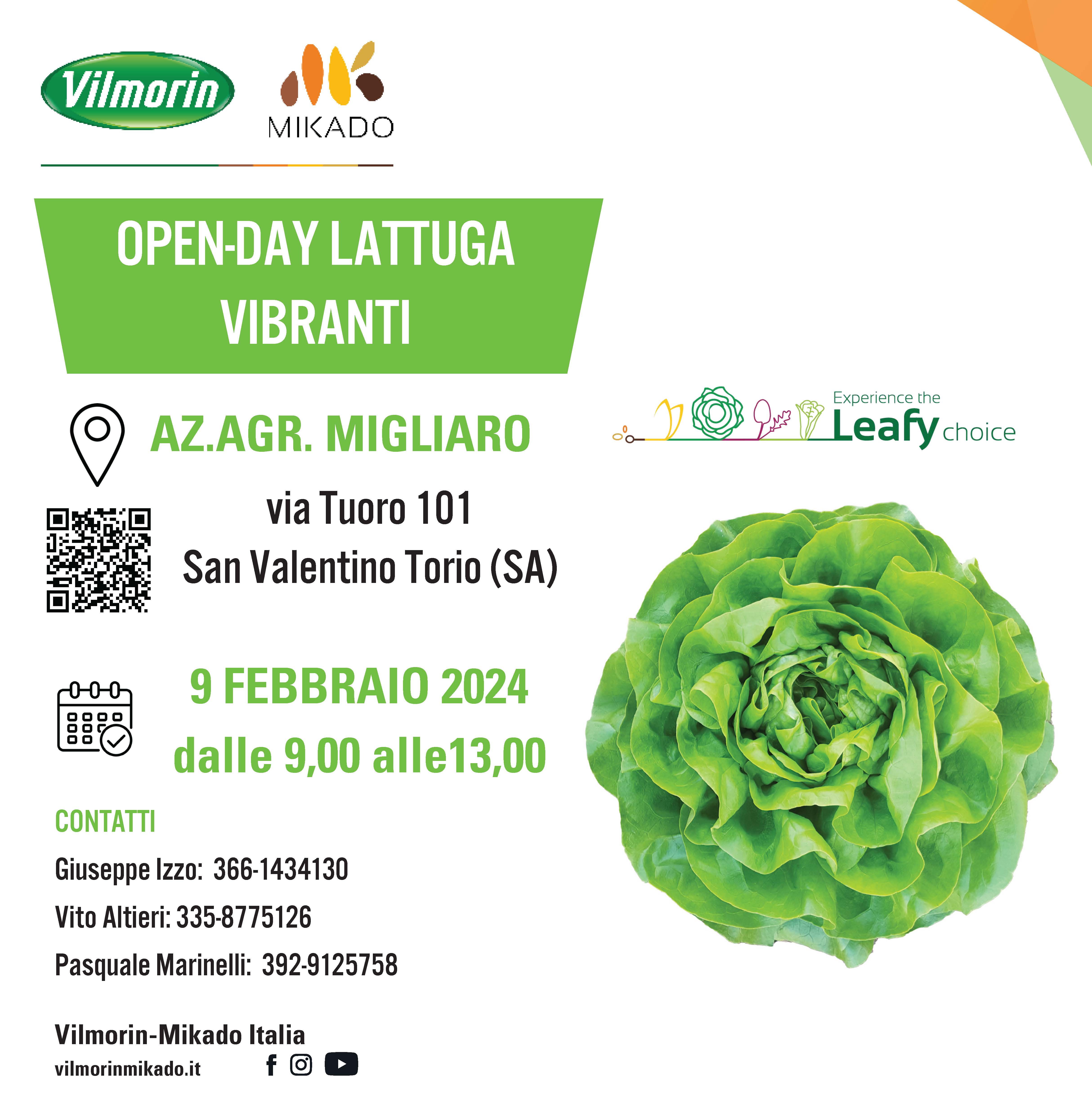 Open-day lattuga Vibranti
