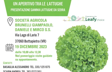 INVITO LATTUGHE VERONA