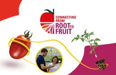 Connecting from root to fruit image