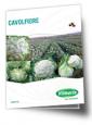 Brochure cavolfiori 2025