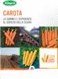 brochure carote