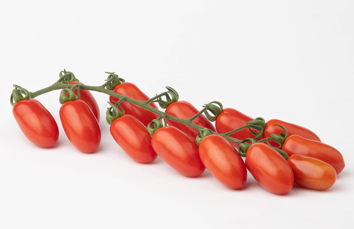 Pomodoro datterino Morricone F1