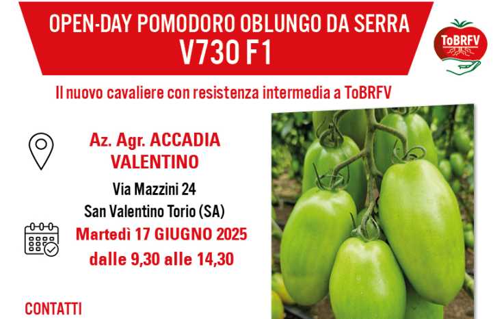 Invito V730 SAN VALENTINO TORIO 