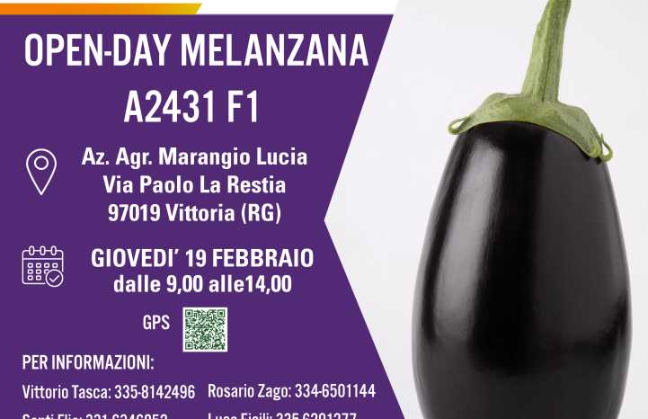 invito open-day melanzana  A2431