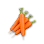 Carota