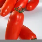 Pomodoro